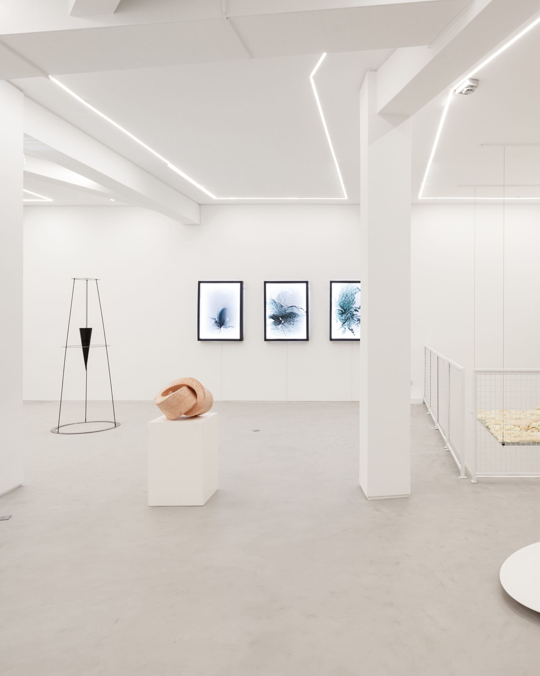 The best art galleries and museums in Lisbon | A group show at Galeria Foco called Amuse Bouche
