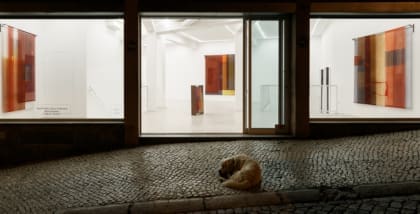 The best art galleries and museums in Lisbon | A solo show by Maria Appleton at Galeria Foco, titled Gaze To See, Gauze To Perceive