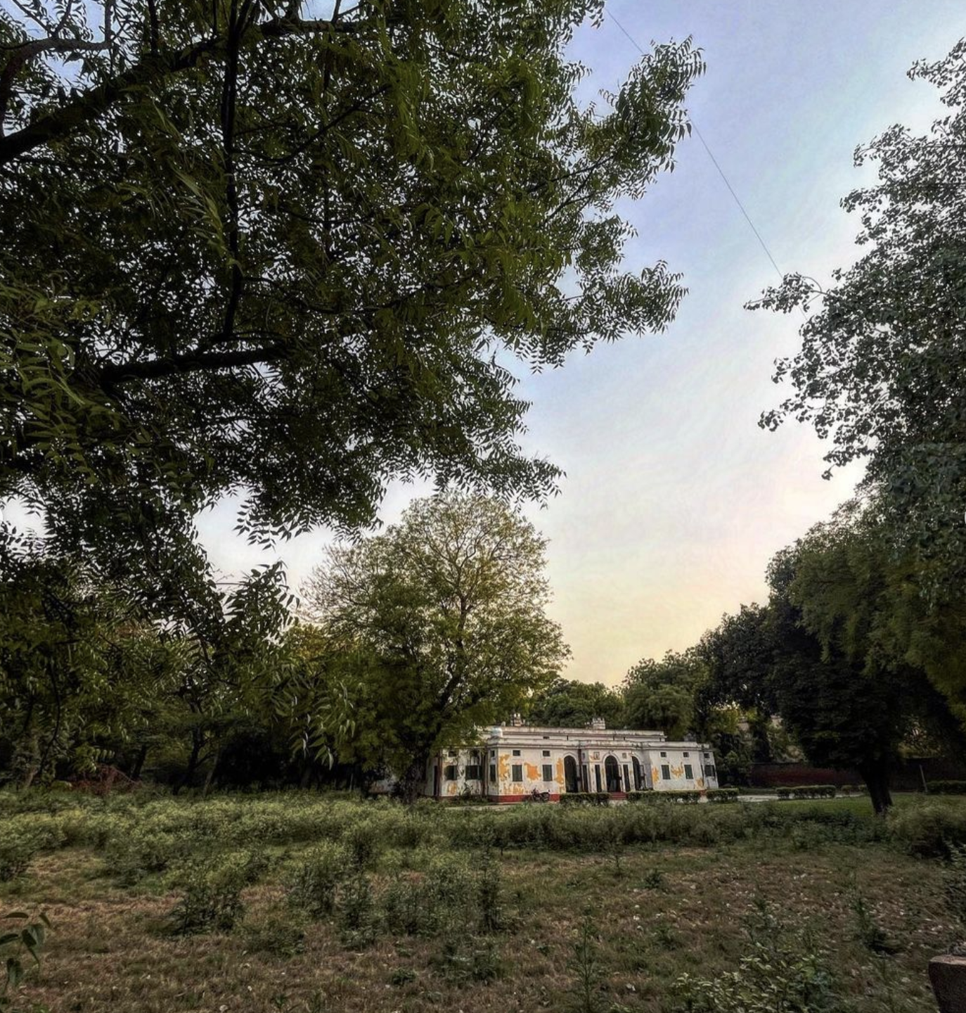 Anica Mann of Delhi Houses | A mansion house in Delhi surrounded by trees