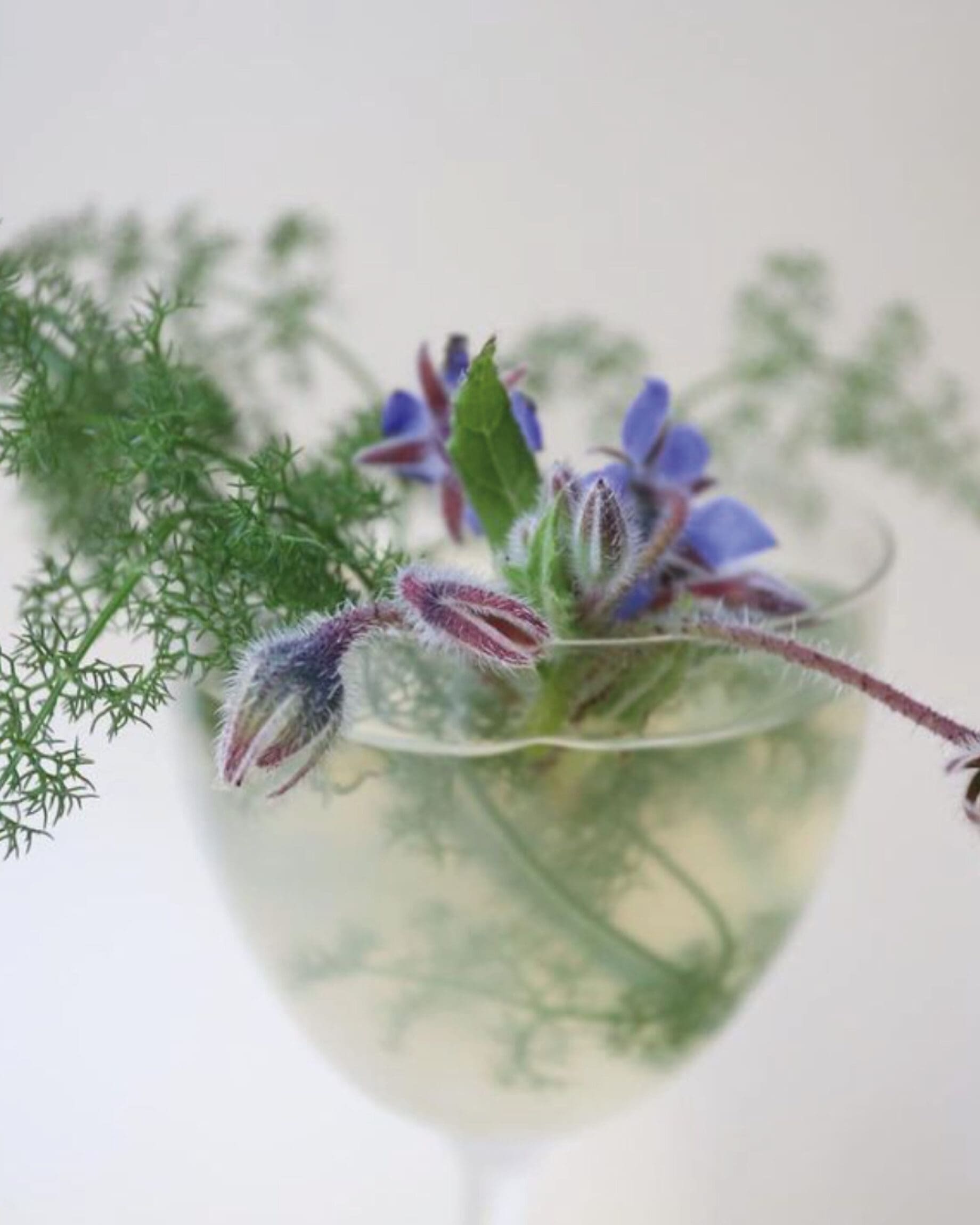 A botanical cocktail at Toca Da Raposa in Lisbon