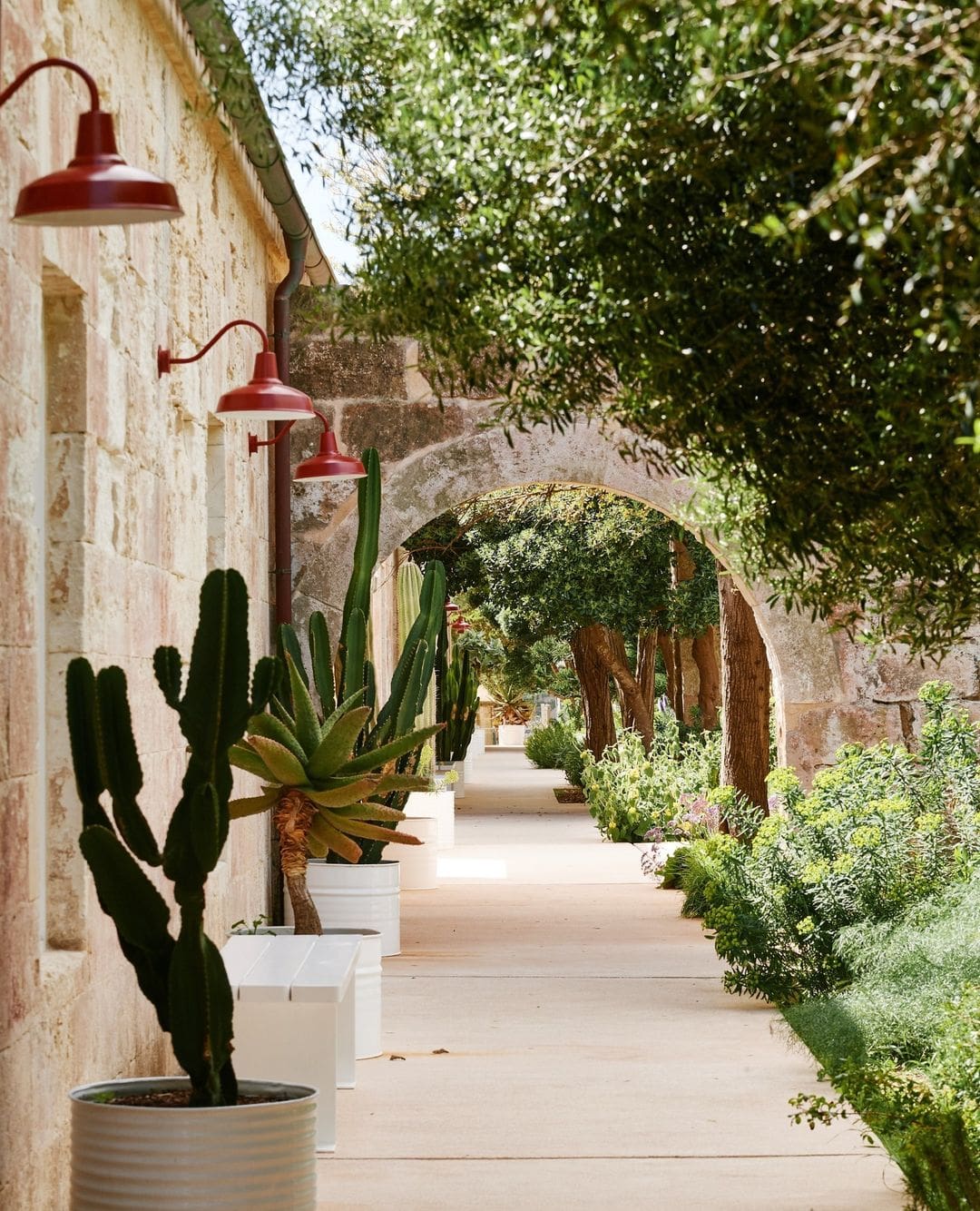 An outside path at Hauser & Wirth Menorca, flanked by trees and cacti