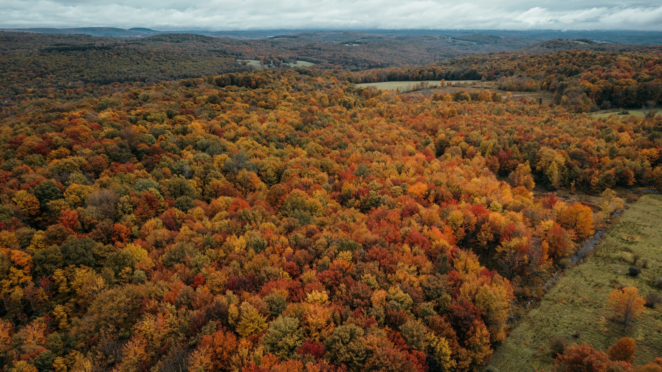 Catskill Mountains in Fall captured by Clay Banks