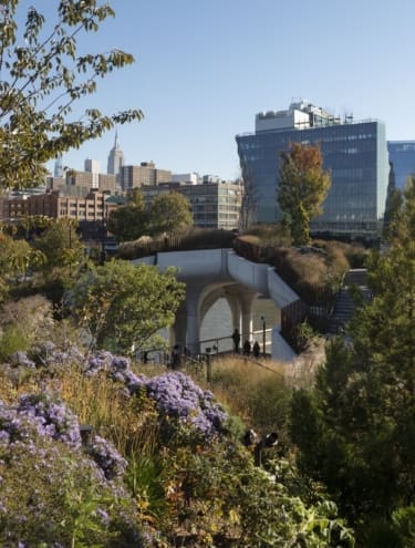 The verdant landscape of Little Island on Manhattan’s Hudson River Park