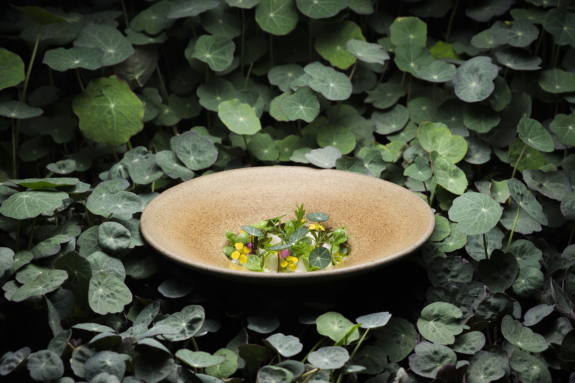 A dish from the tasting menu at L'Enclume, presented on a leafy backdrop