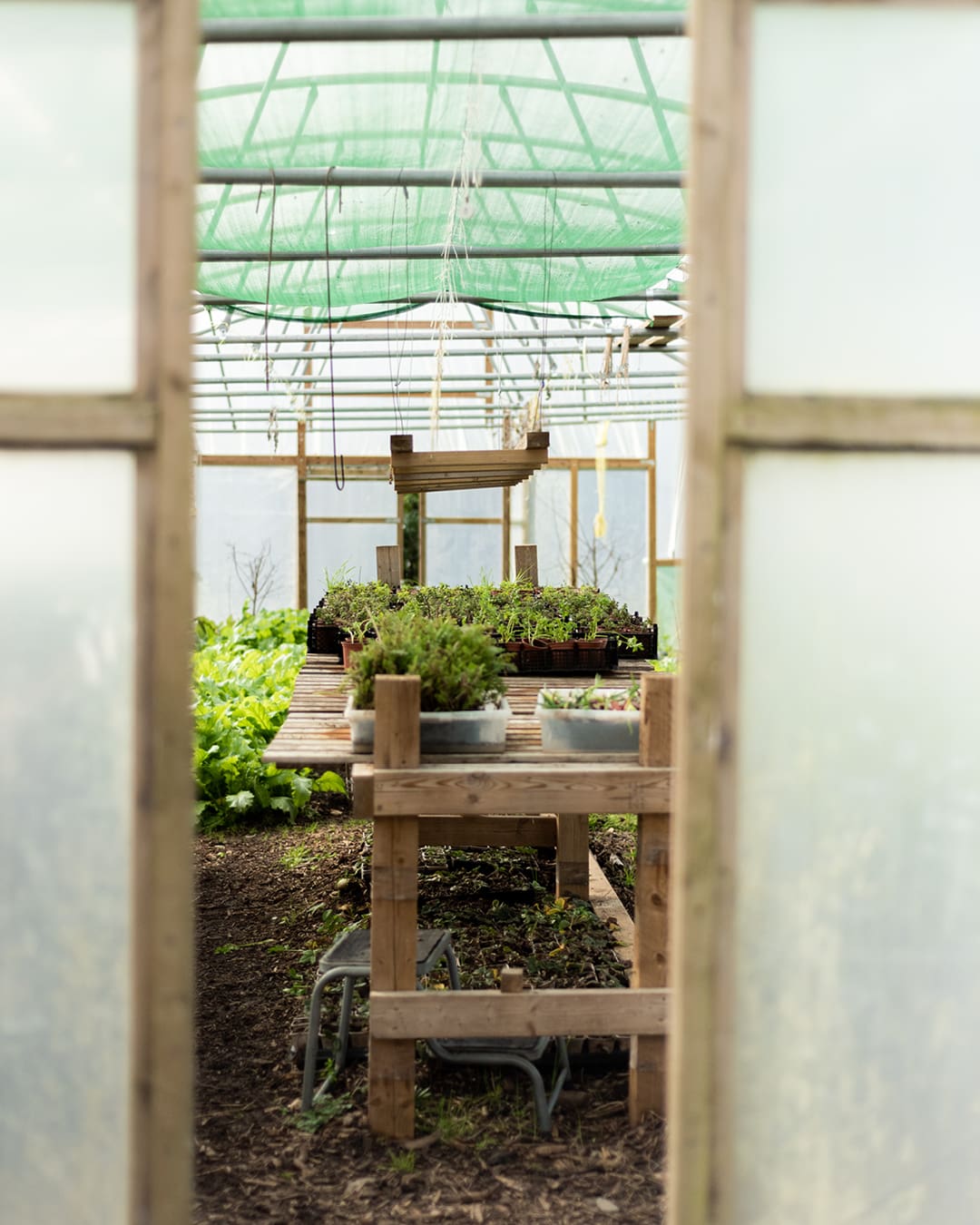 The best farm-to-table restaurants in the UK | Inside a greenhouse at Crocadon Farm