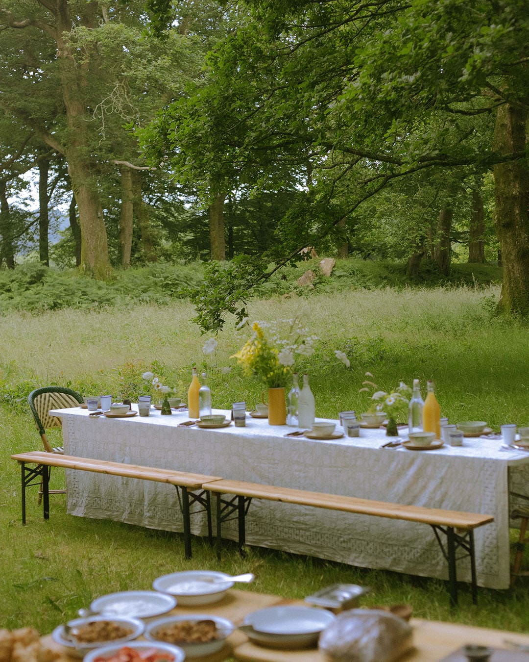 Outdoor table set with foodstuffs and drinks in beautiful woodland