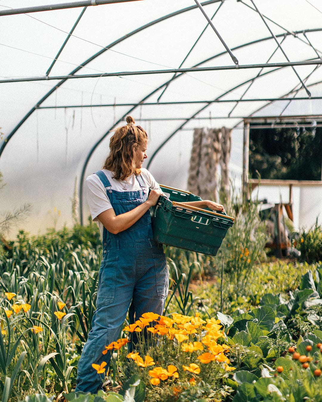 A woman farming vegetables in a greenhouse