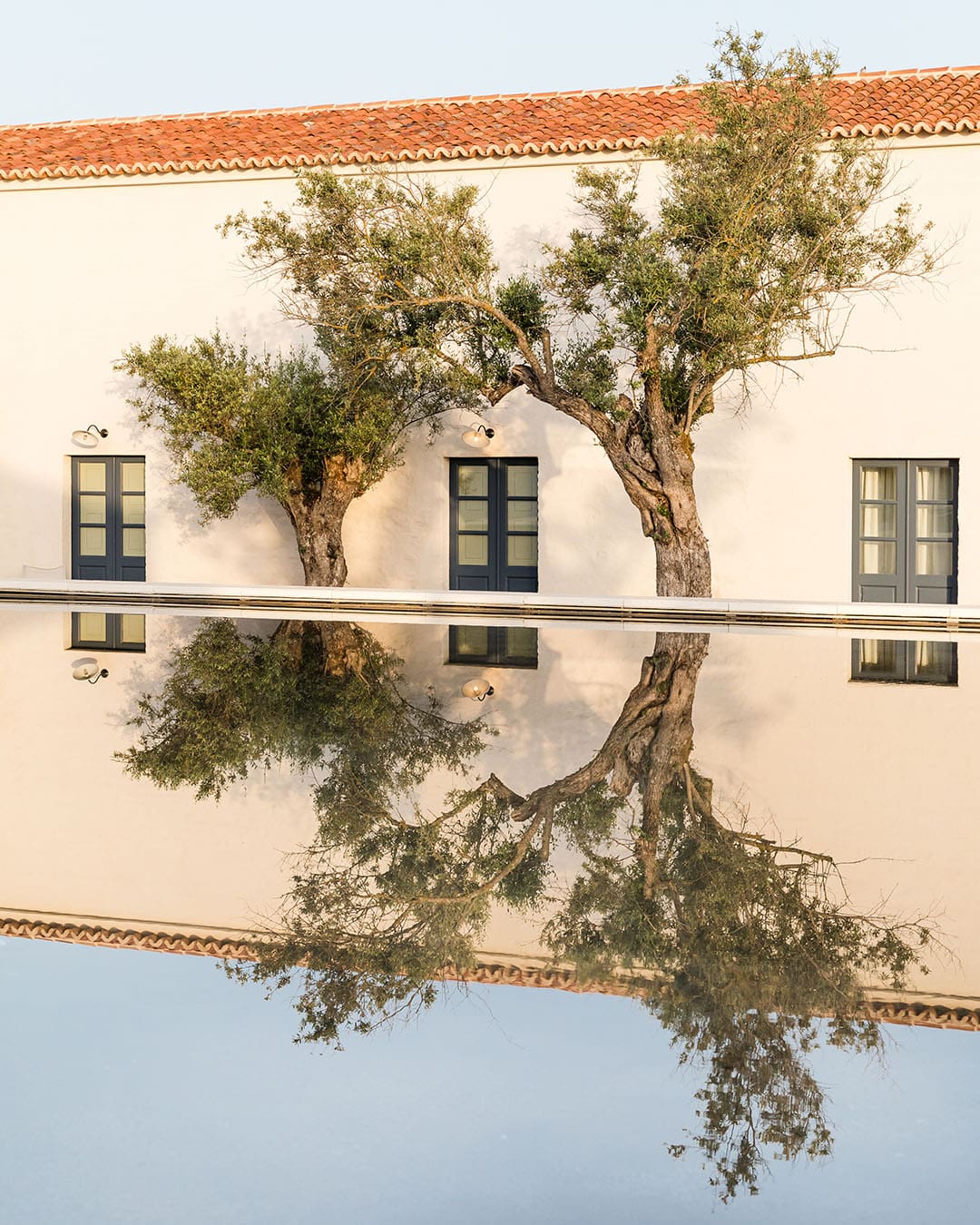 Building with tree and reflection at São Lourenço do Barrocal