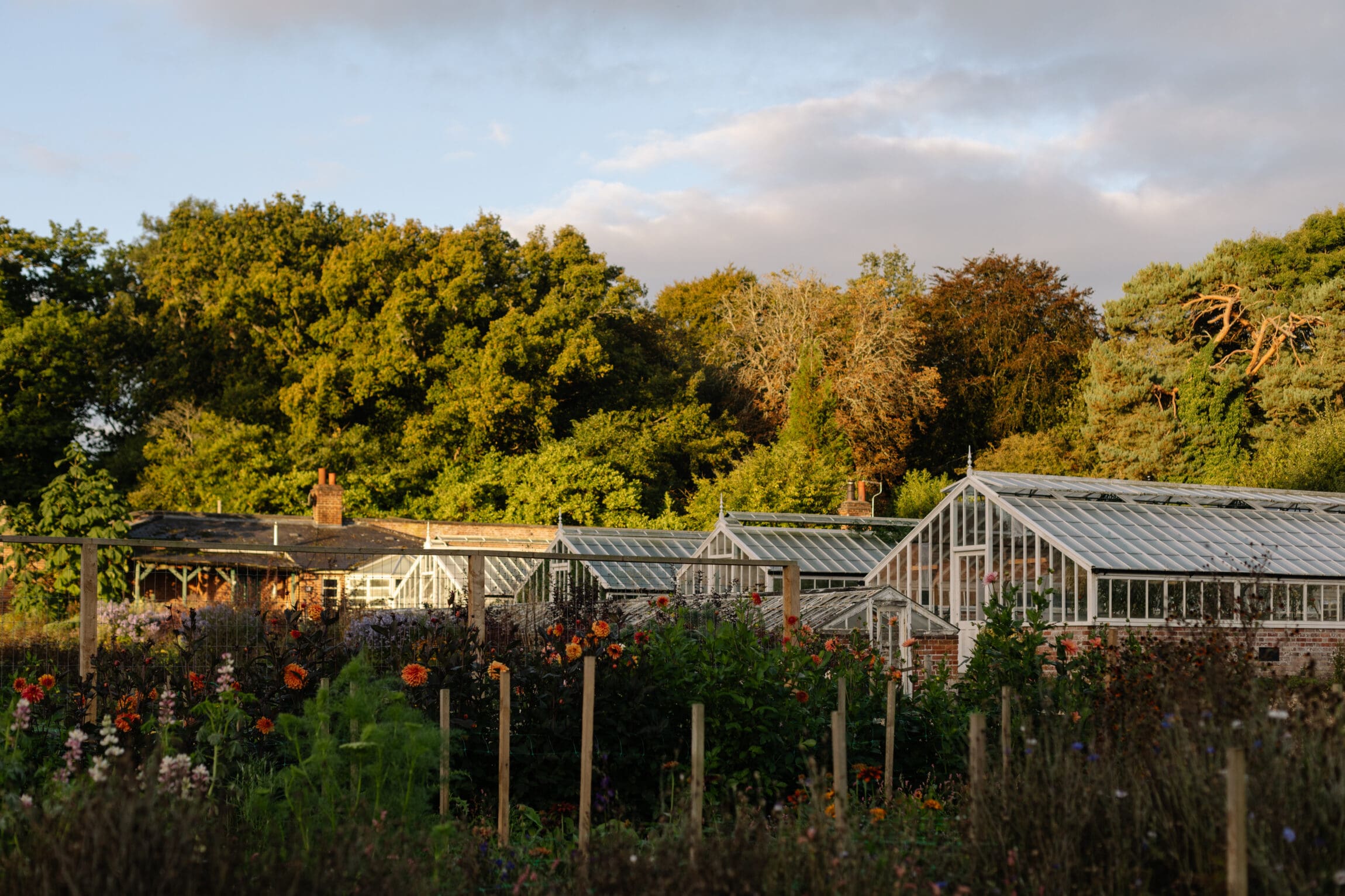 The best farm-to-table restaurants in the UK | Greenhouses at Water Lane.