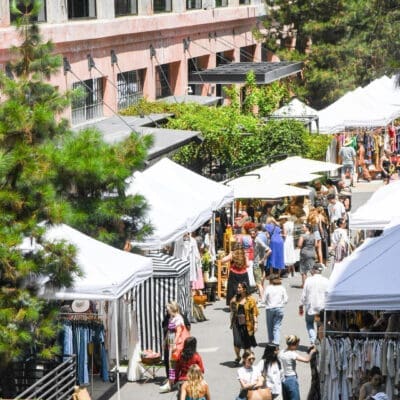 Stalls and shoppers at Pickwick Vintage Market