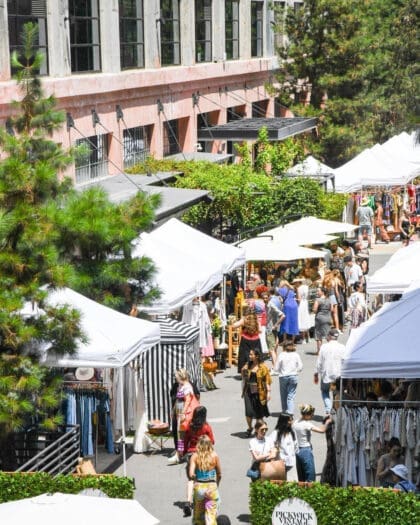 Stalls and shoppers at Pickwick Vintage Market