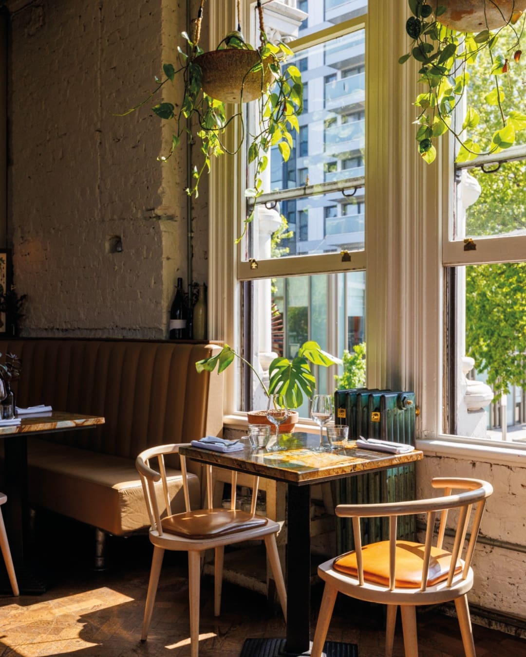 The best restaurants in Spitalfields | light pours through a window at The Culpeper