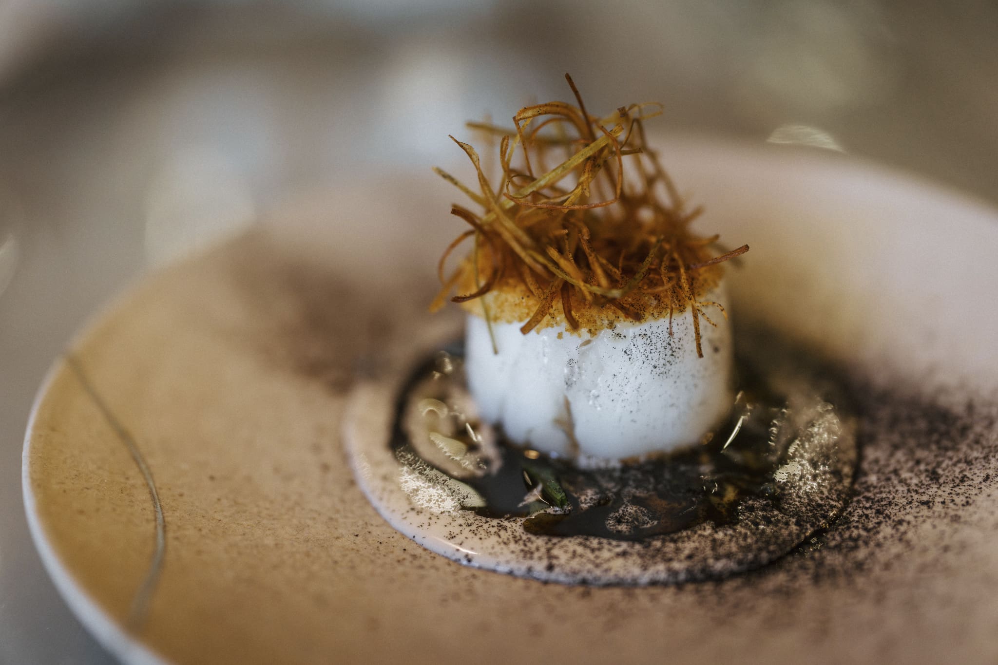 Slow cooked Grouper with white wine cream sauce at House at 50 Norman