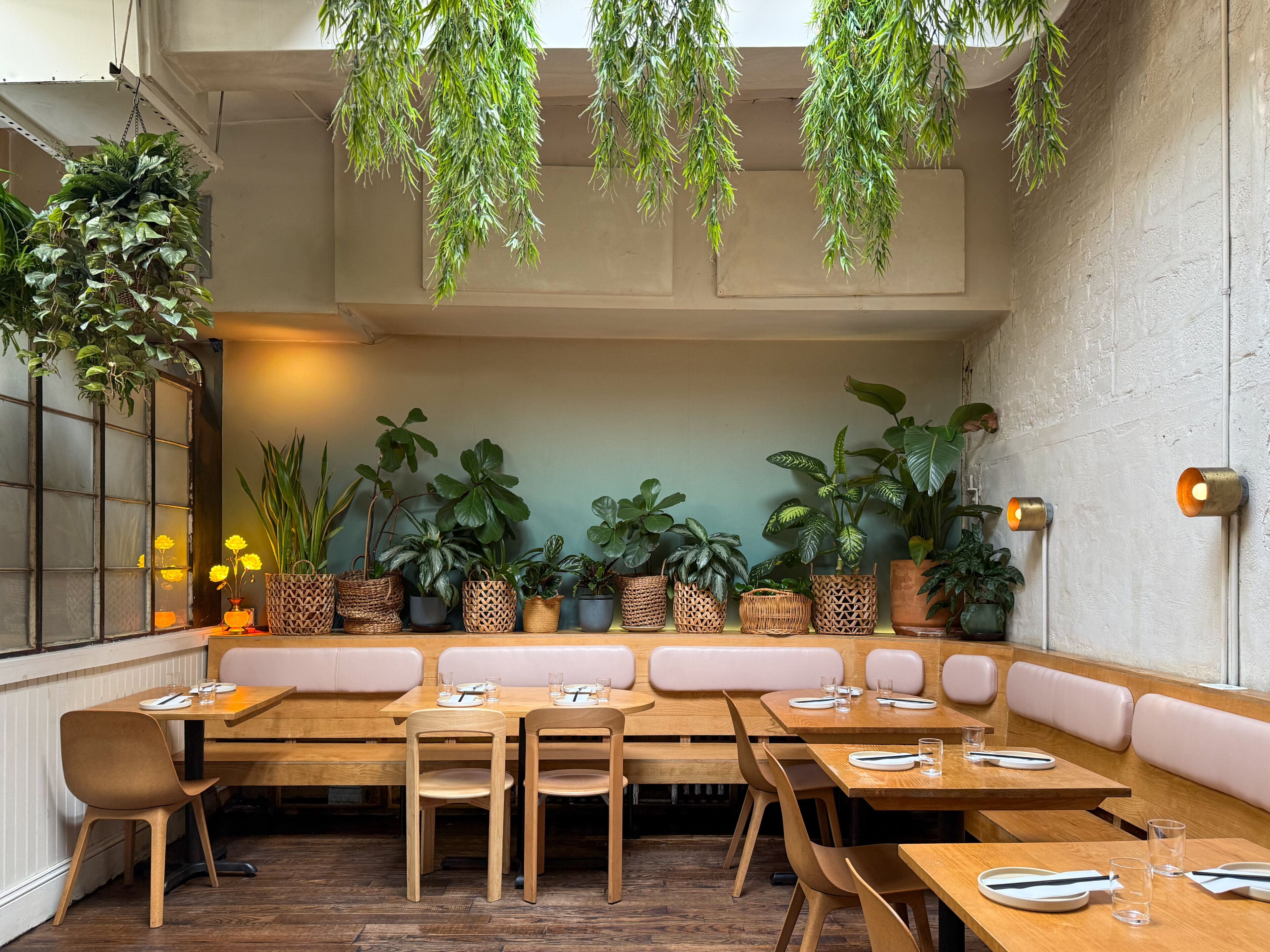 Leafy interiors at Đi Ăn Đi in Greenpoint