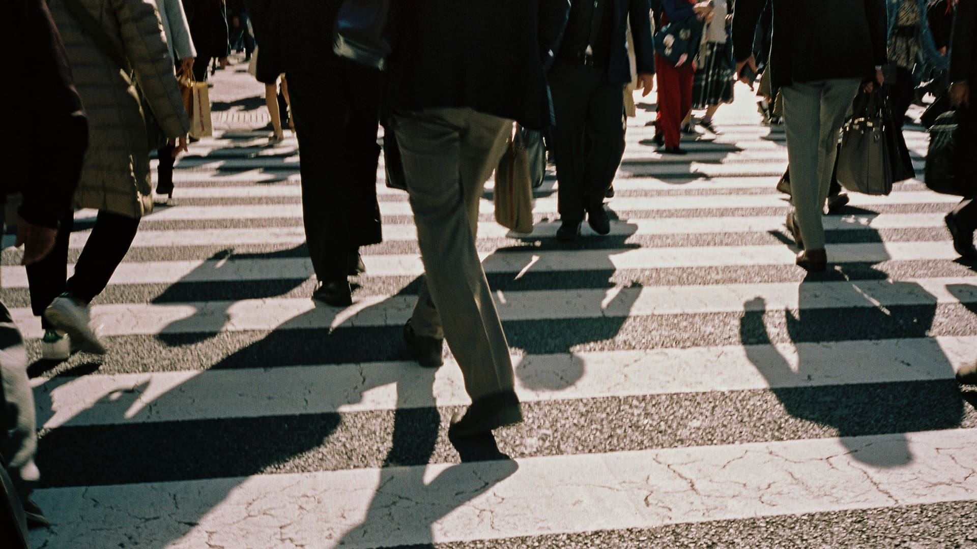 Shibuya Crossing in Tokyo