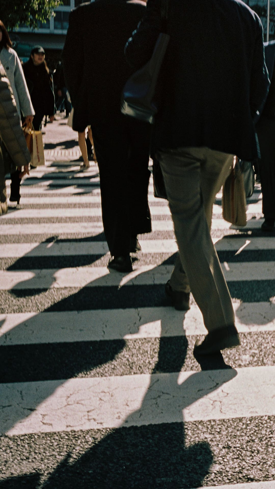 Shibuya Crossing in Tokyo