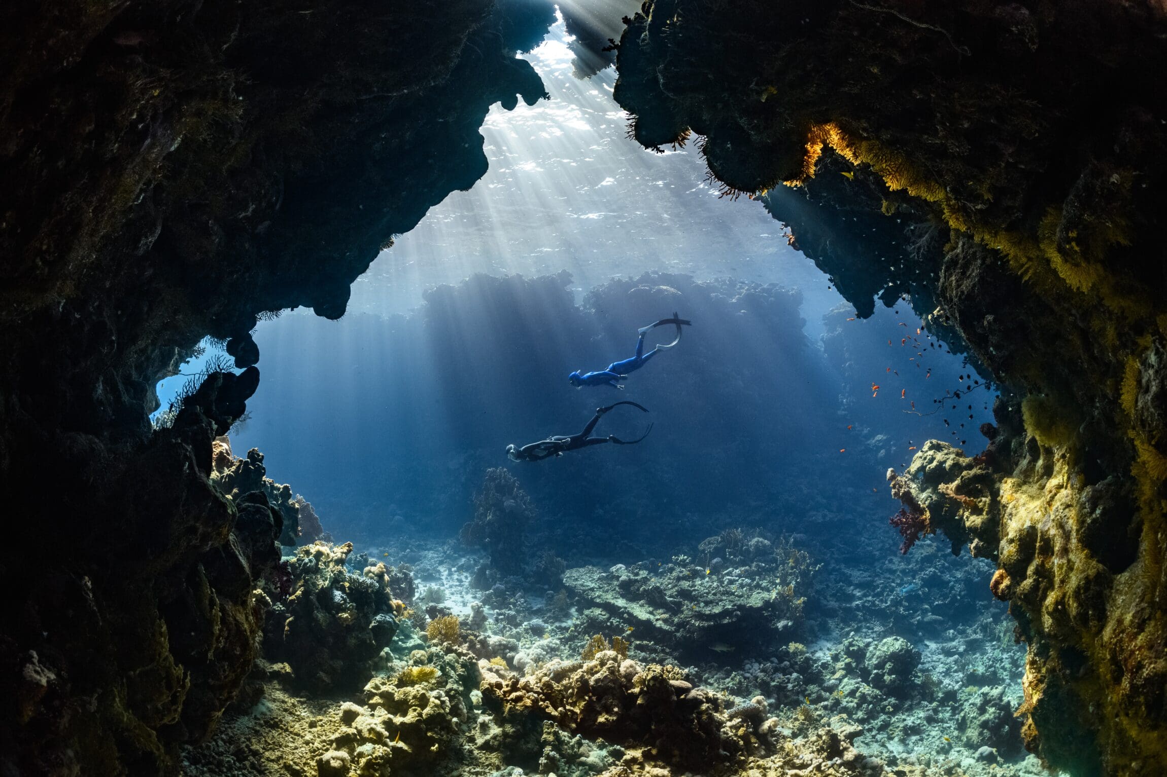 Diving into regenerative travel | divers swimming through pristine blue water, framed by coral