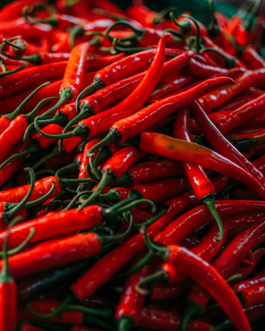 Vibrant chillis. Photography by Adam Birkan