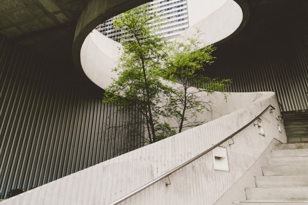 The biggest travel trends of 2023 | a tree emerging from a concrete building, photography by Alexander Abero