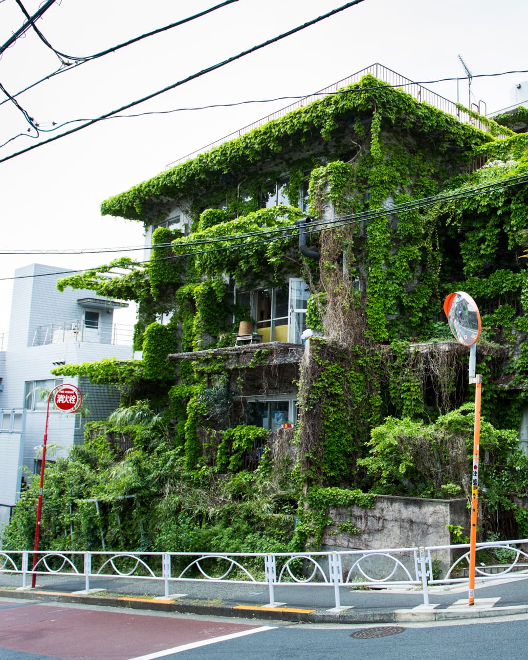 The best co-working spaces in Tokyo | Midori-so's verdant green-covered exterior