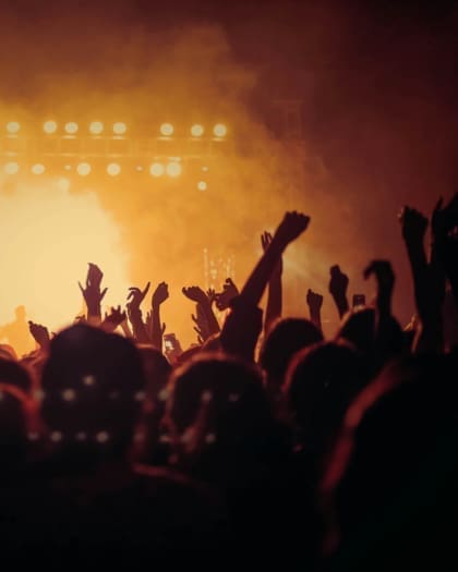 Silhouette of crowd at music festival