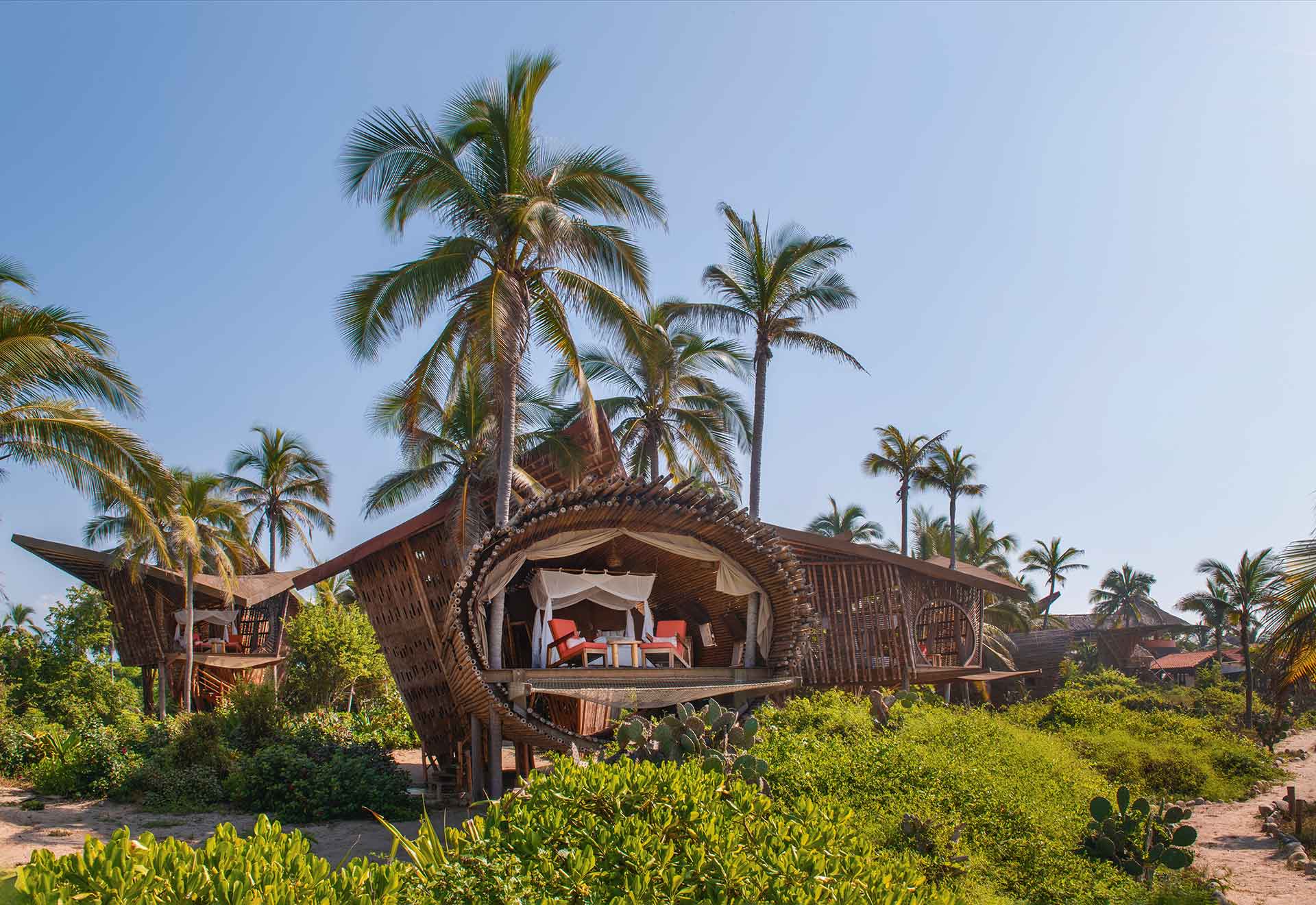 Green, palm-lined exterior of Playa Viva in Mexico