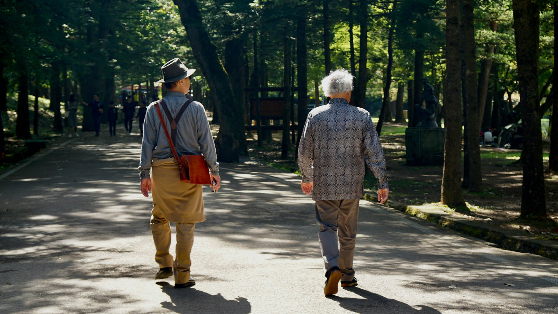 Two old friends walking in Korea
