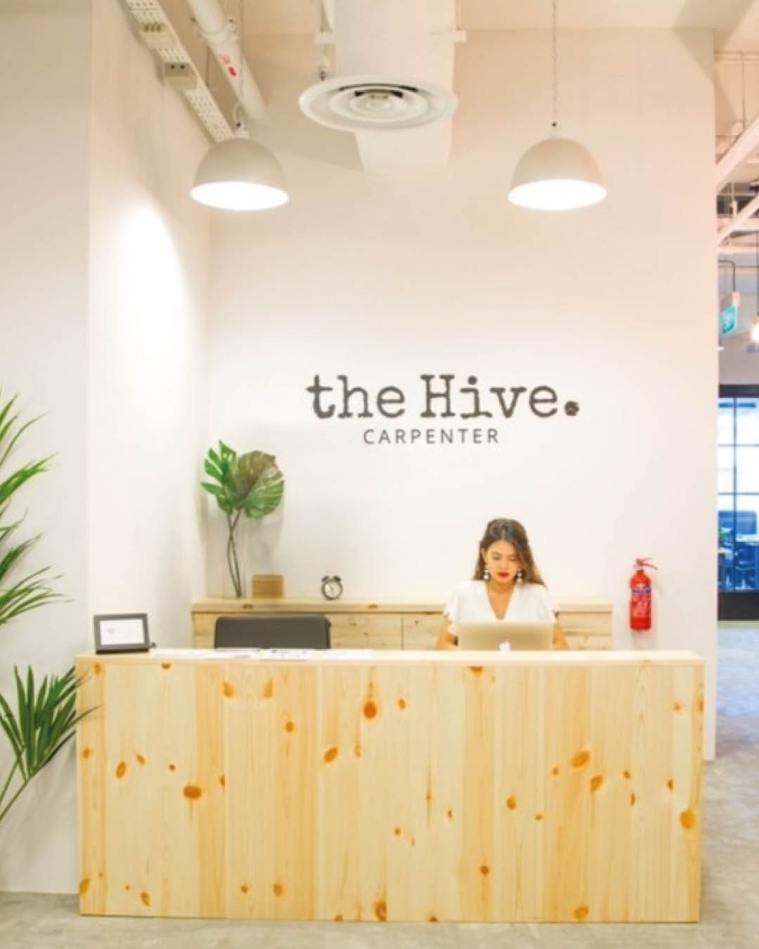 A receptionist sits behind a wooden desk at The Hive Carpenter.