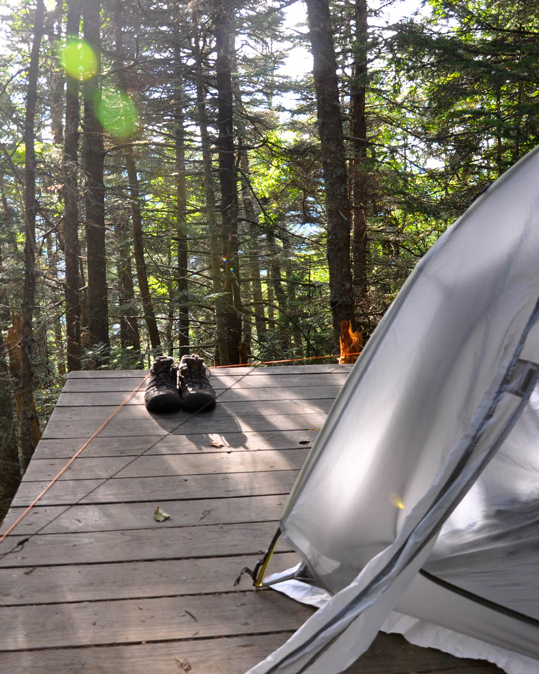 Hiking shoes placed on the corner of a raised wooden platform, with tall pine trees in the background. Some of a white tent can be seen in the right hand corner.