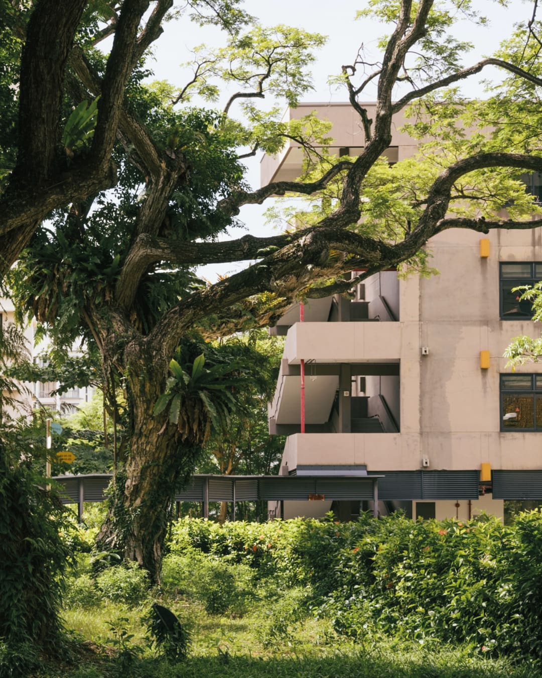 A brutalist building contrasted with verdant greenery in Singapore