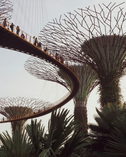 Sky walk at the Gardens by the Bay in SIngapore