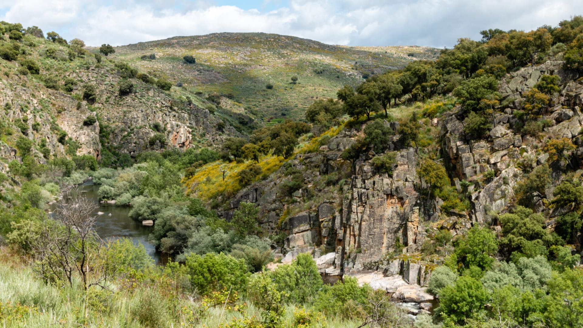 A river passes through a cliff-lined river gorge surrounded by shrubs in Portugal.