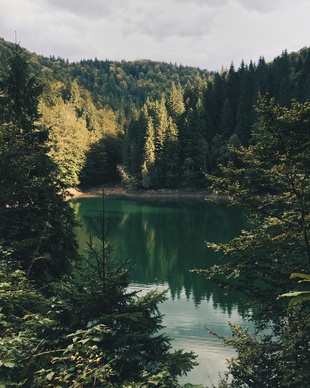 Pine-clad hills surround an emerald lake in the Carpathian Mountains of Romania.