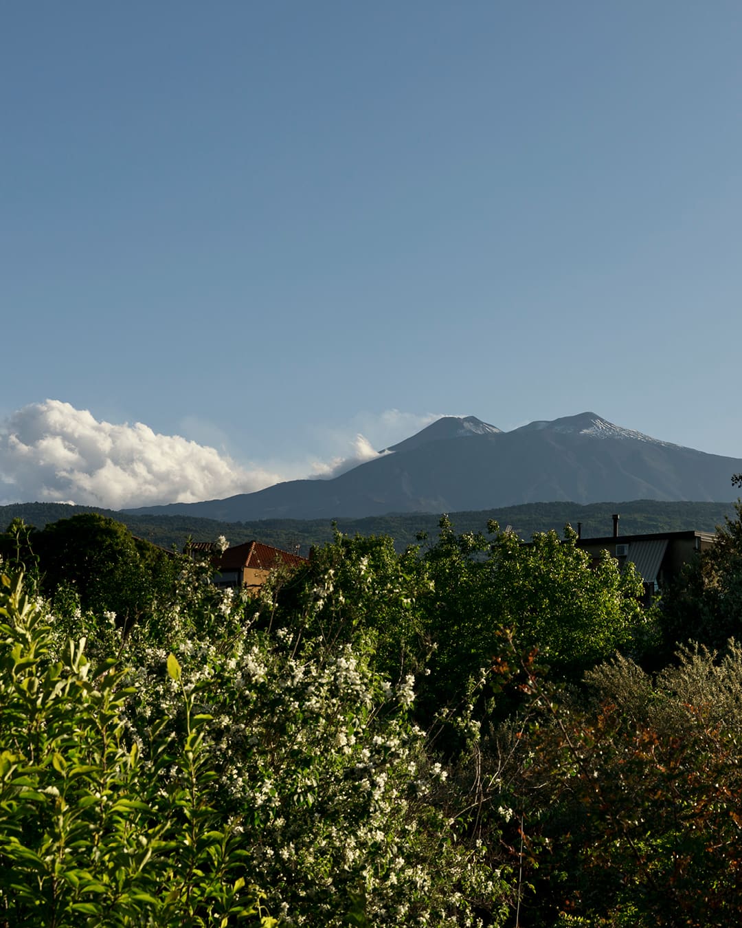 Stunning view of Mount Etna from Palazzo Previtera, framed by lush greenery against a clear blue sky.