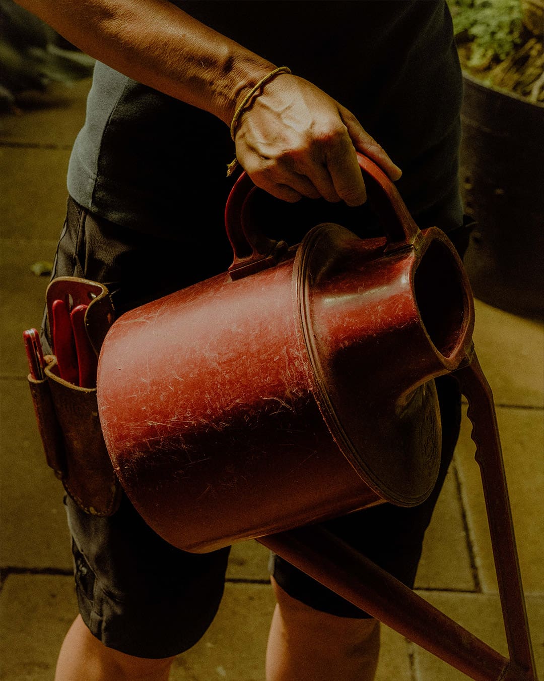 A gardener tips a red metal watering can