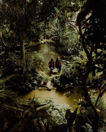 Gardeners Sara Fox and Katerina Moisi work in one of the Barbican Conservatory's ponds, surrounded by plants and trees.