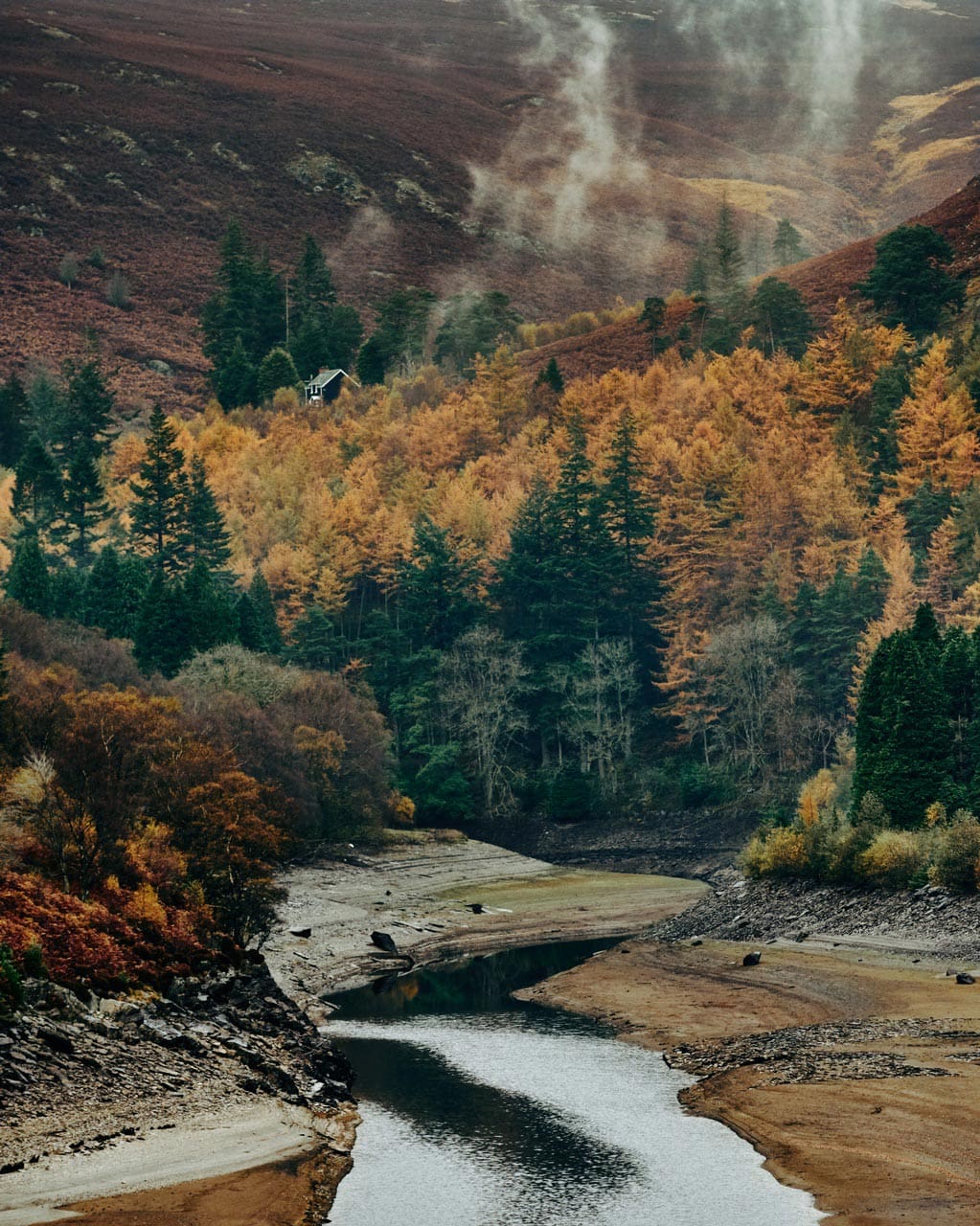 A view of changing autumn colours in the trees of the Elan Valley in Wales.