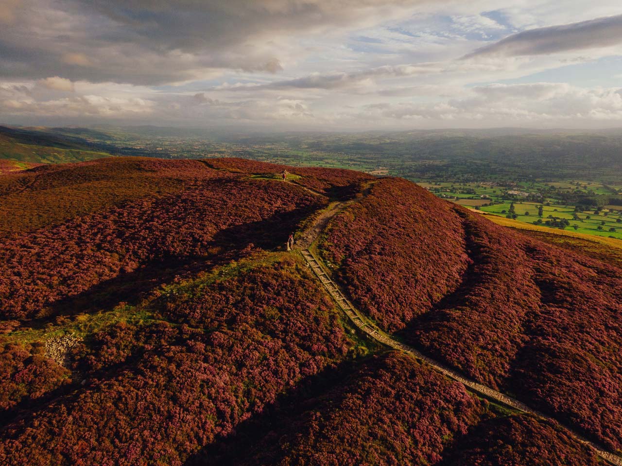 An aerial view of Offa's Dyke earthwork cutting through heather in Wales.