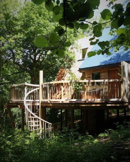 A treehouse surrounded by foliage at Hudnalls Hideout in the UK.