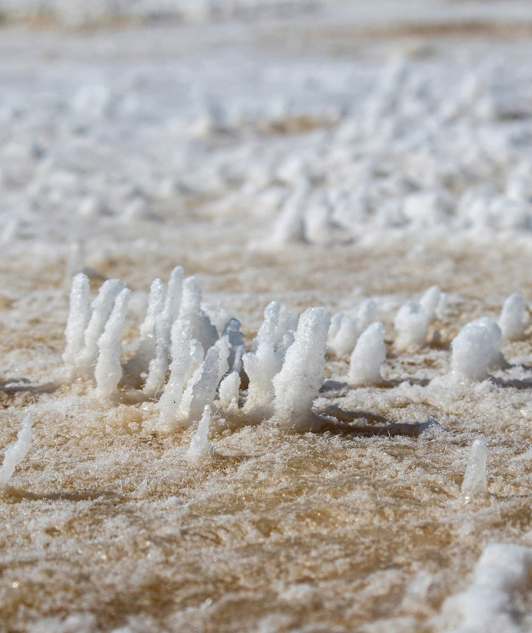 Formation of salt crystals