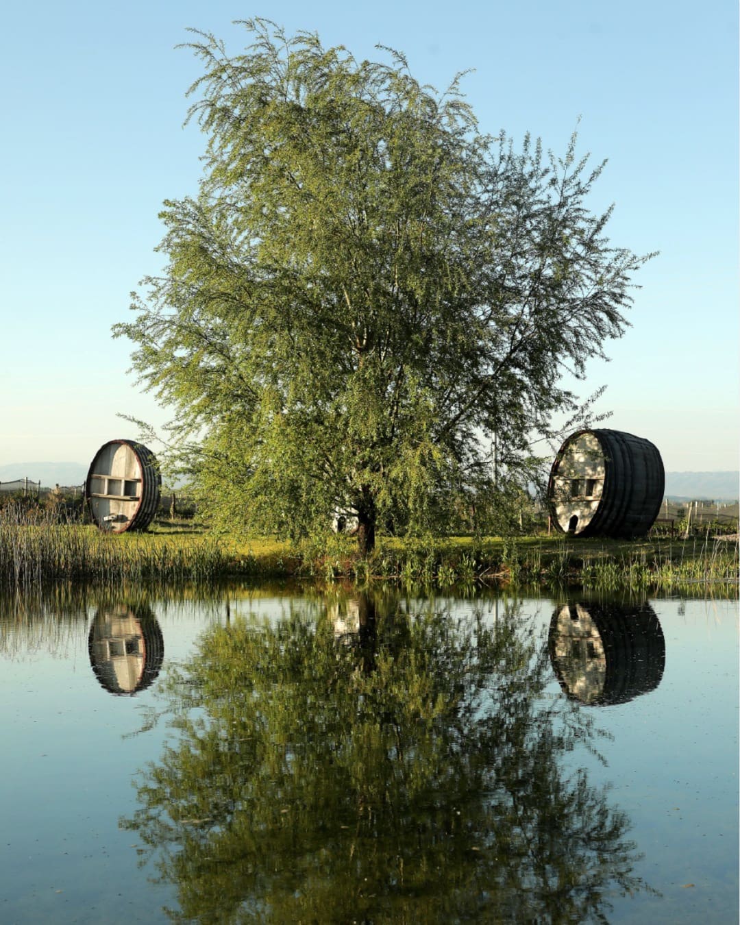 Lakeside at Domaine Bousquet