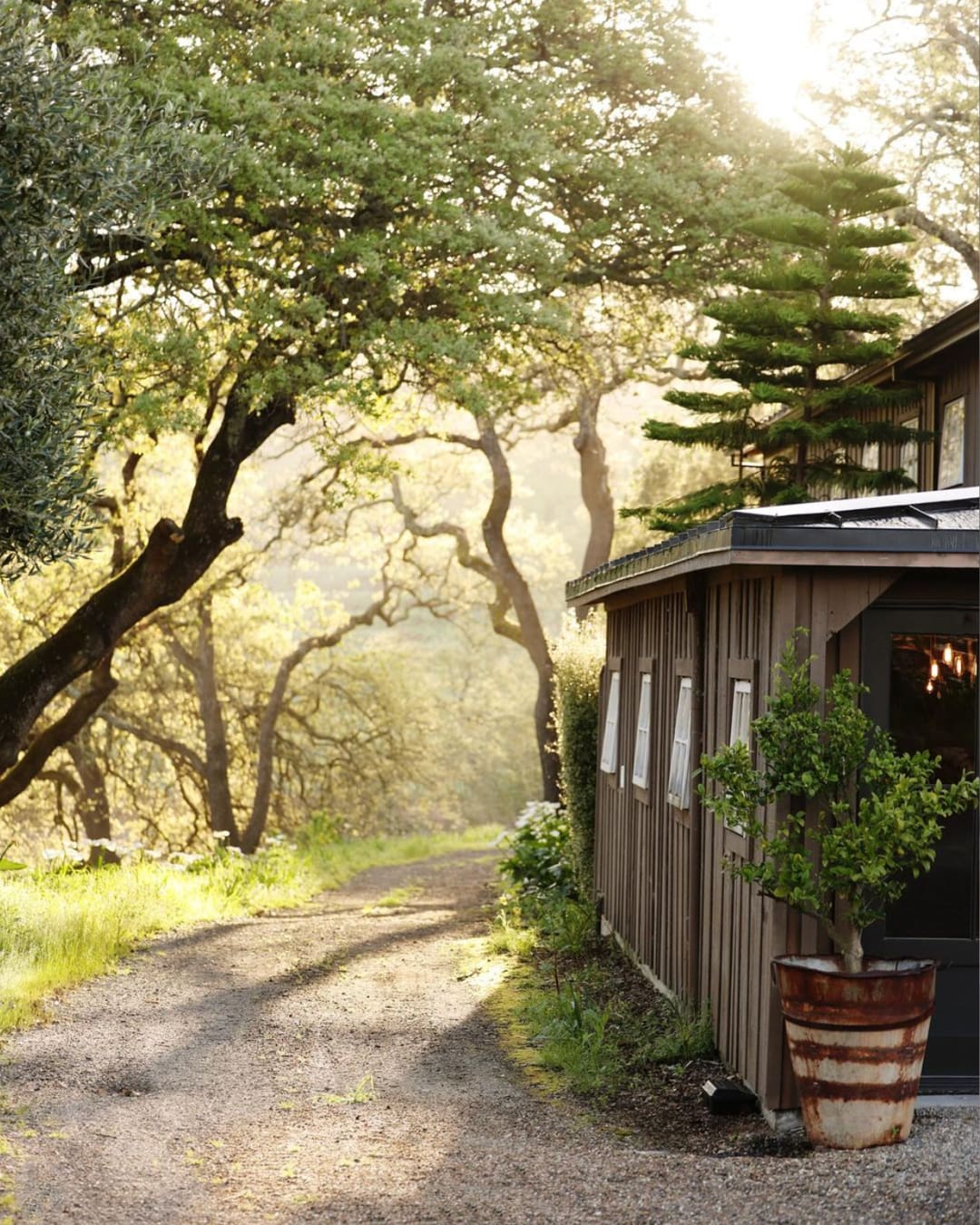 The Cheese Shed, Napa Valley