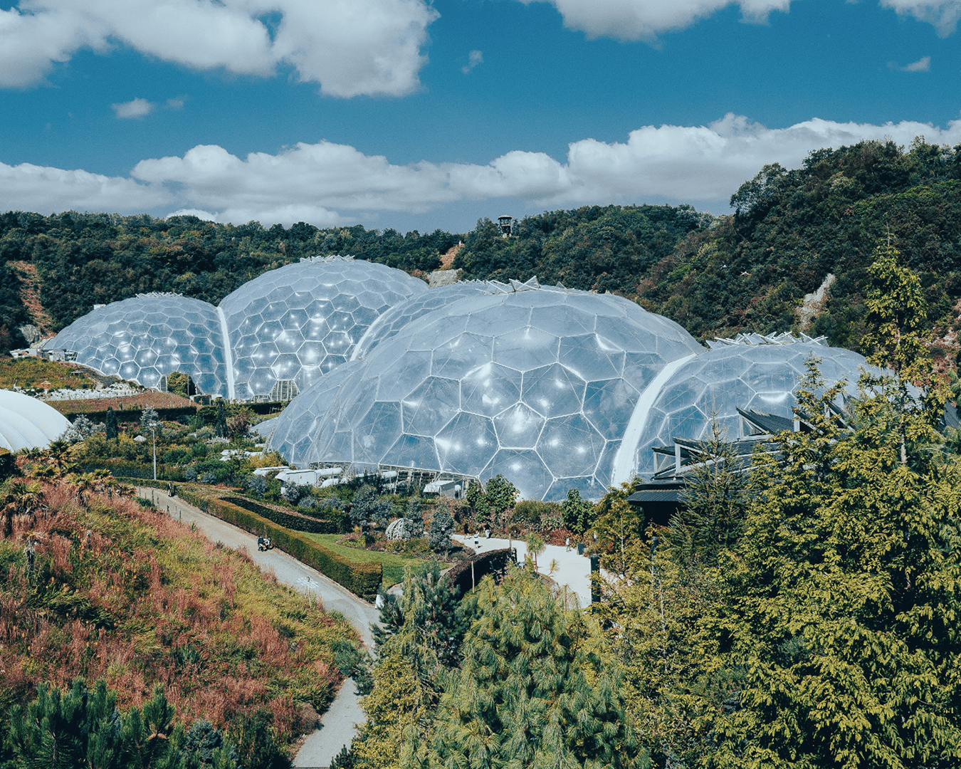 The Eden Project domes surrounded by greenery