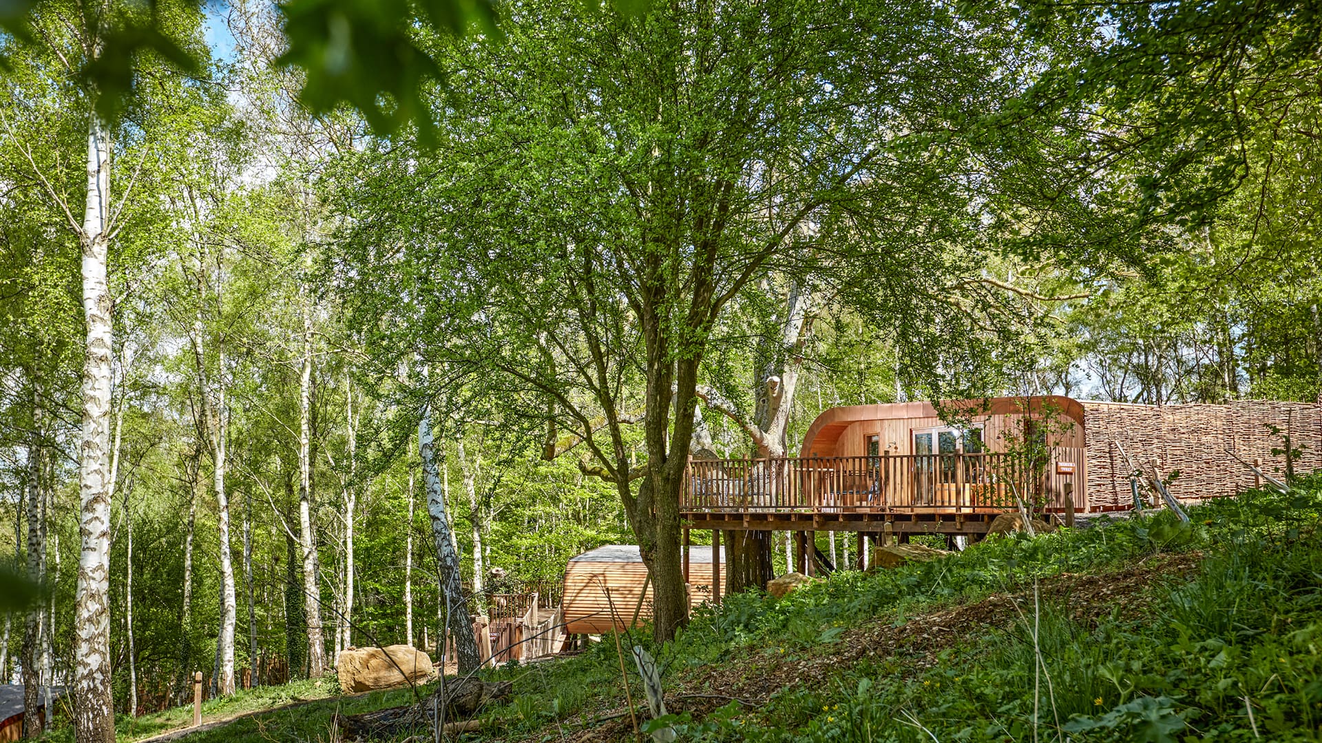 The Fish Hotel surrounded by Worcestershire woodland.