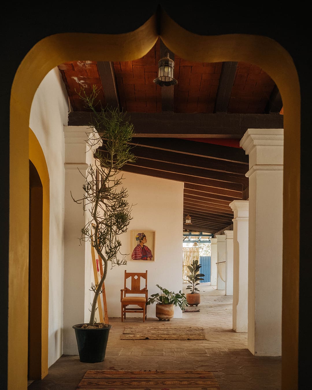 Terrace at Texere, Oaxaca