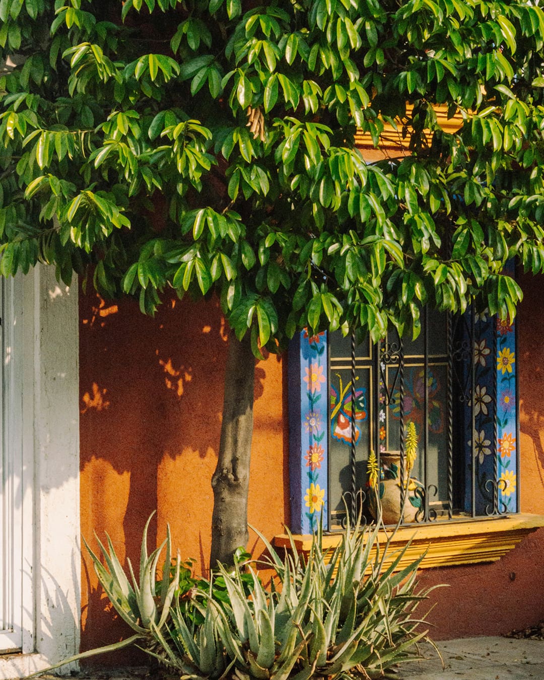 Colourful building facade, Oaxaca