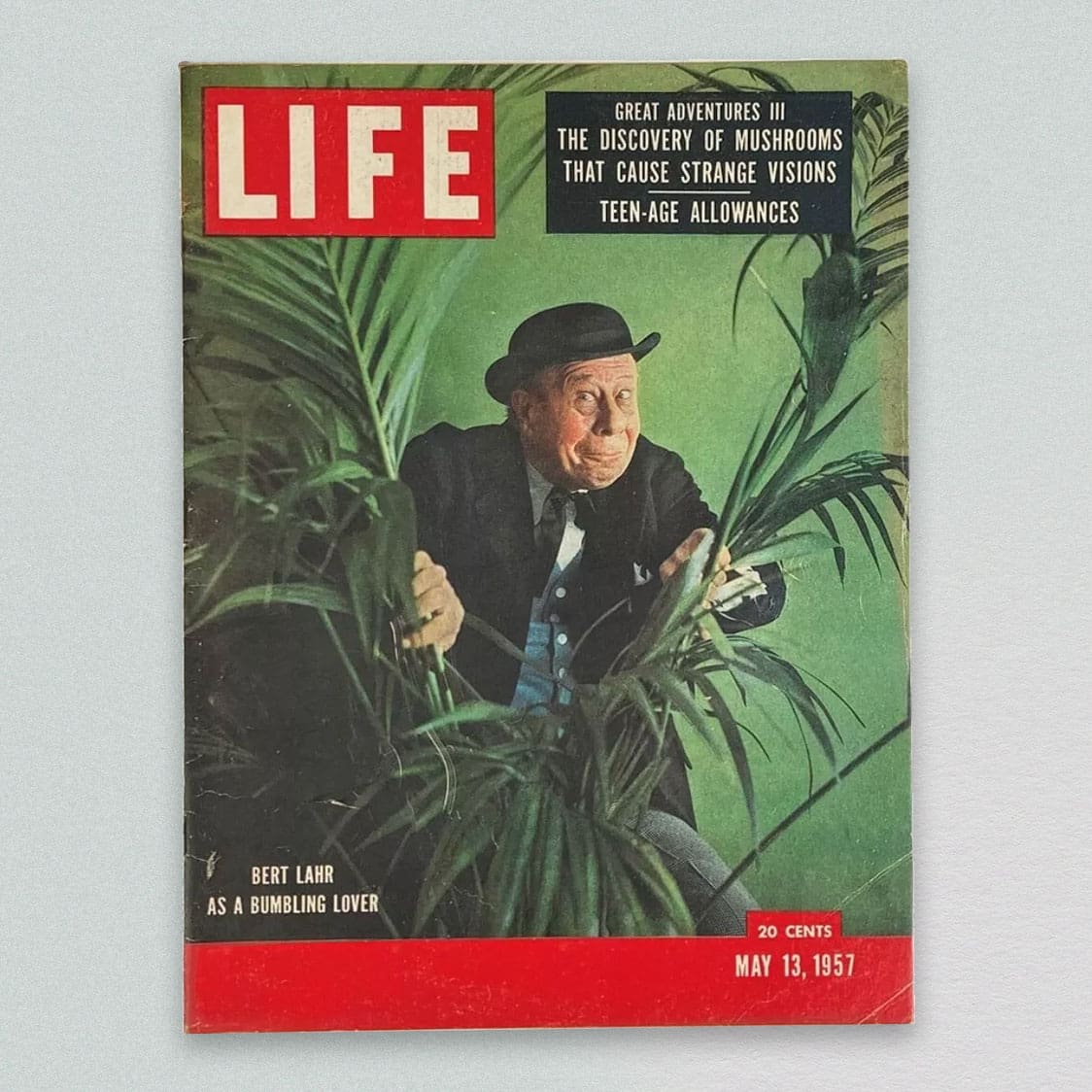 Front cover of Life magazine with magic mushroom photo essay