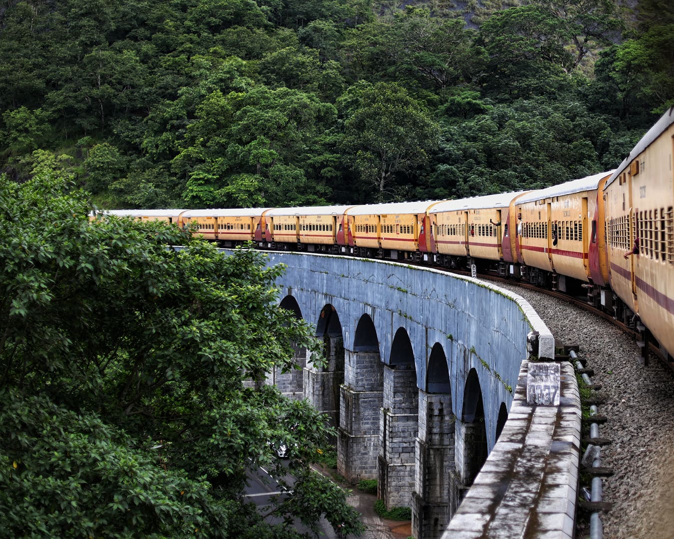 Train crosses arched bridge into thick forest