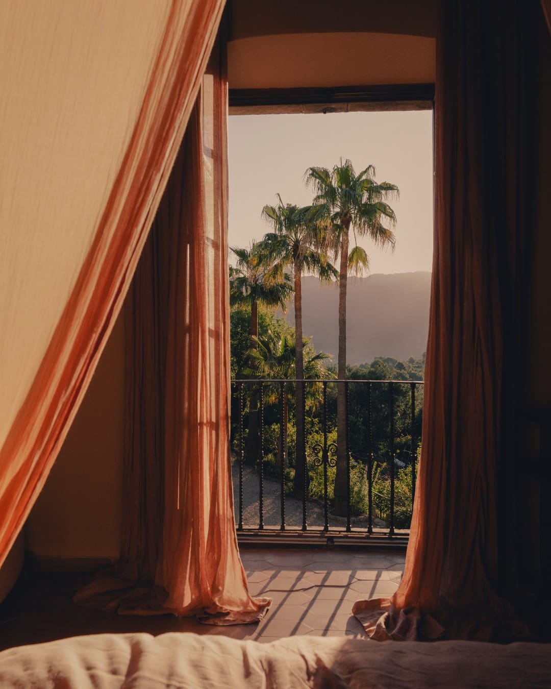 Sun-drenched palm tree views from Hotel Corazón