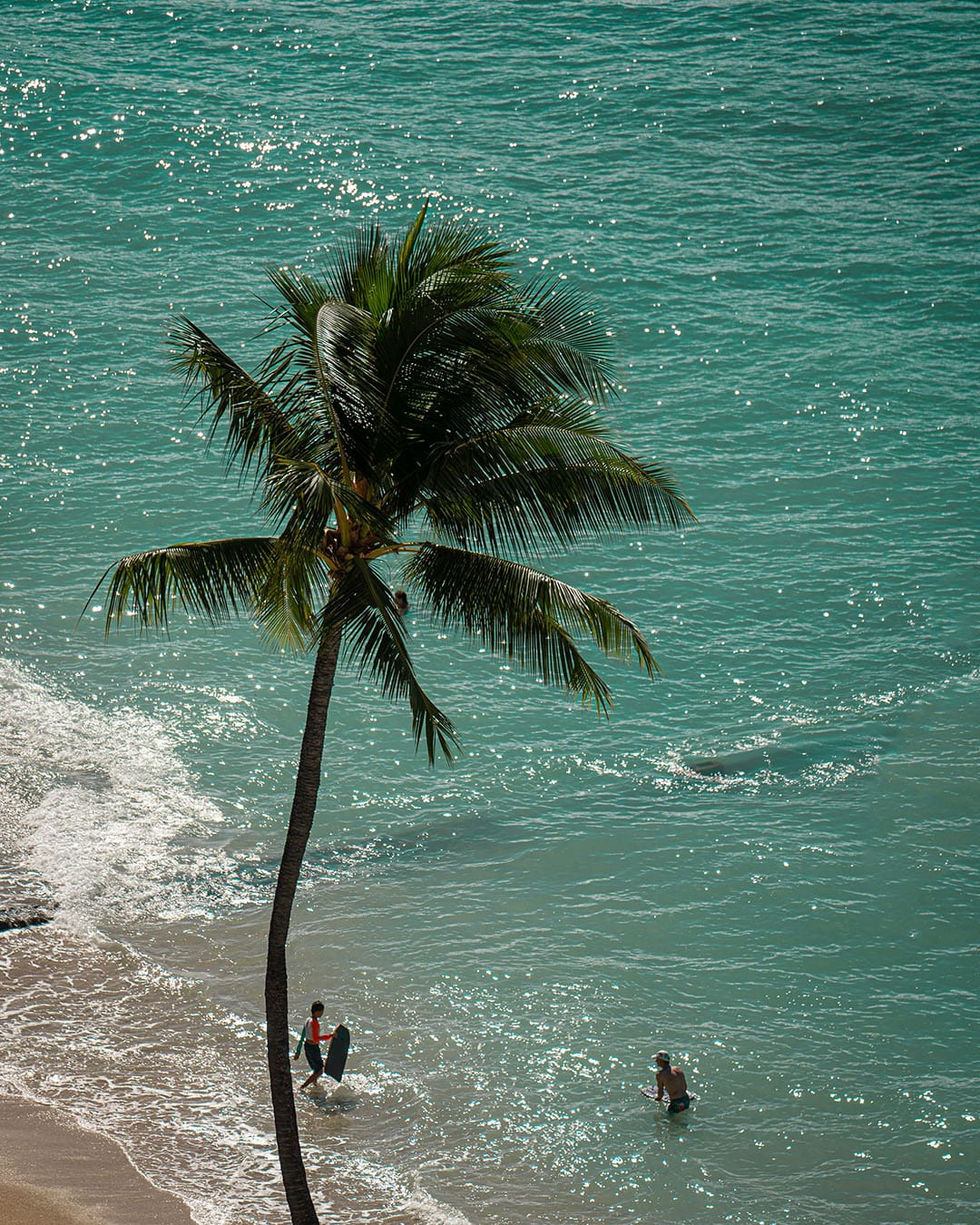Two people enjoying surfing on a beach in Hawaii with a palm tree in the foreground